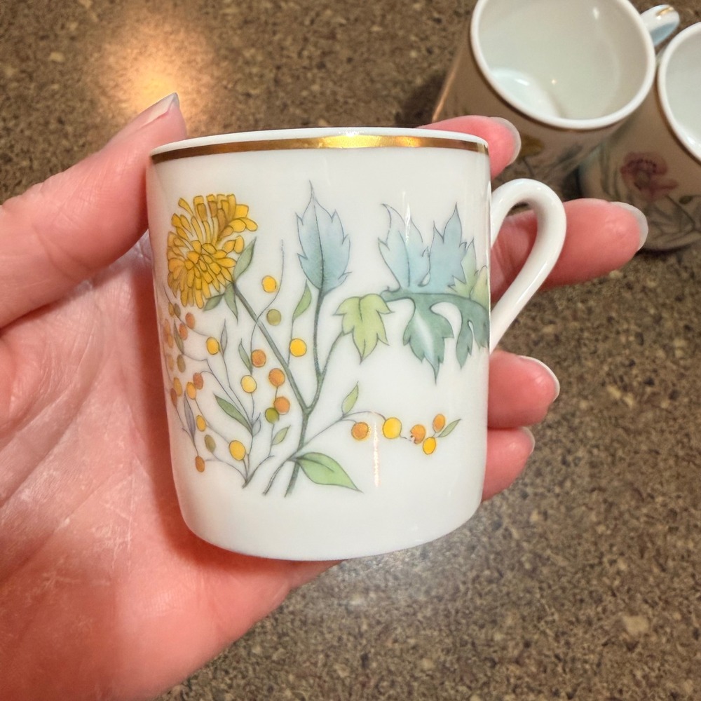 Richard Ginori Primavera Demitasse Espresso Cups Set of 4 Italy Floral Gold Trim